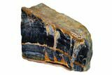 Polished Blue Tiger's Eye Section - South Africa #148262-2